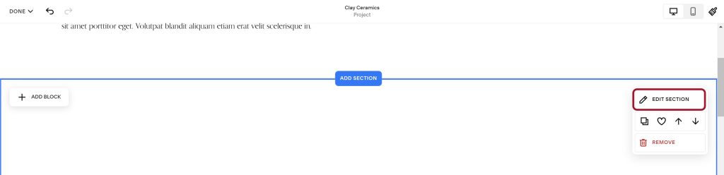 Edit section option on the page editor in Squarespace